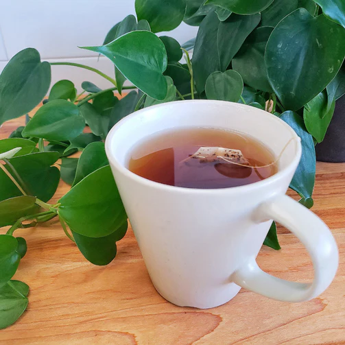 TeaSquared Premium Tea